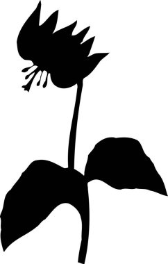 Çiçekli bir bitkinin siyah silueti.