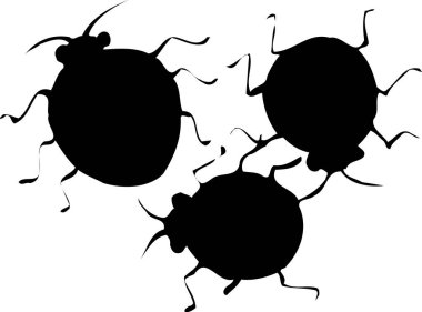 beyaz arkaplanda böceklerin siyah siluetleri