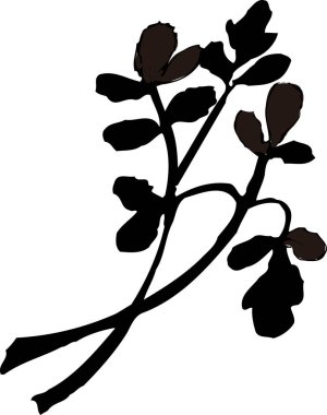 Beyaz arkaplanda siyah silueti olan çiçek 