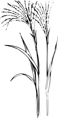 siyah basit çim silueti çizimi