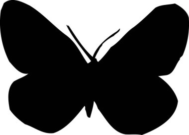 Kelebek resmetmesi beyaz arkaplanda izole edildi