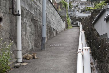 Japon şehrindeki eski caddenin manzarası