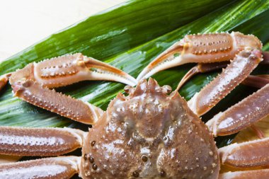 Arka planda yeşil yapraklı taze yengeç, kapat