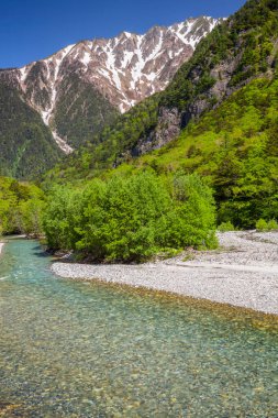 Yeşil ağaçları ve ormanı olan dağ nehri