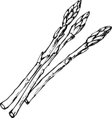 siyah basit siluet kuşkonmaz çizimi