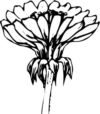 Çiçeğin siyah basit silüeti