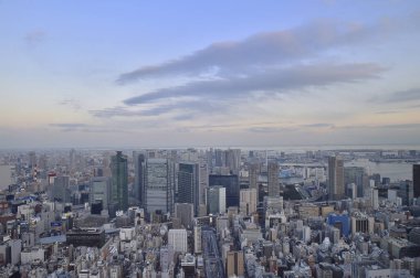 Gündüz vakti modern Japon şehrinin havadan görünüşü