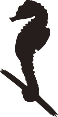 Deniz atı simgesi, beyaz arkaplanda izole edilmiş basit siyah beyaz illüstrasyon