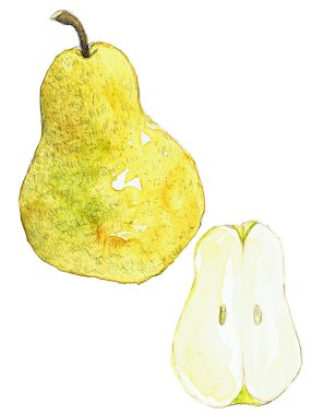 Armutlar. Suluboya arkaplan resimleri