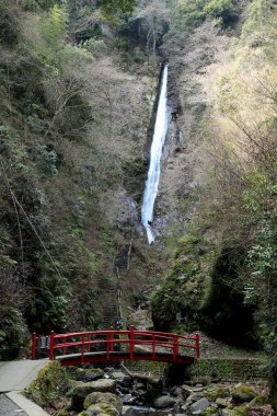 Güzel şelale ve ormanda bir sürü kaya.