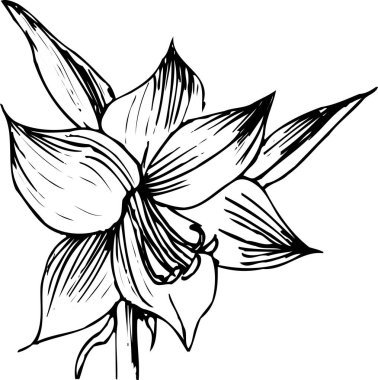 Çiçeğin siyah basit silüeti