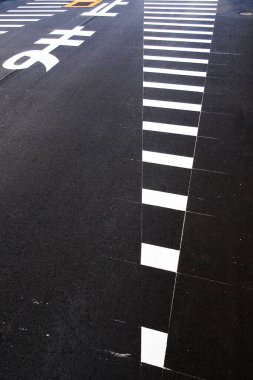 Zebra Japonya 'da karşıdan karşıya geçiyor.