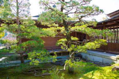 Geleneksel Japon tapınağı manzarası, Japonya, Asya