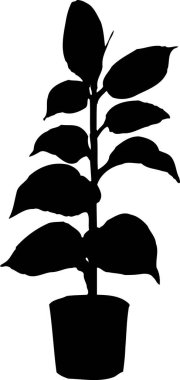 saksıda bitki silueti, çiçekli botanik çizimler.