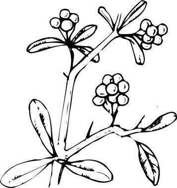 bitkinin siyah basit silüeti