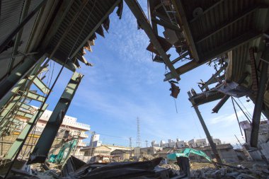 Bir moloz yığınında çalışan yeşil kazıcı