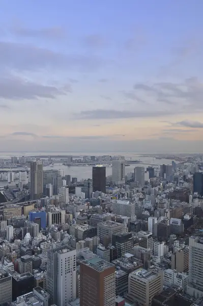 Aerial View Modern Japanese City Daytime — Stock Photo, Image