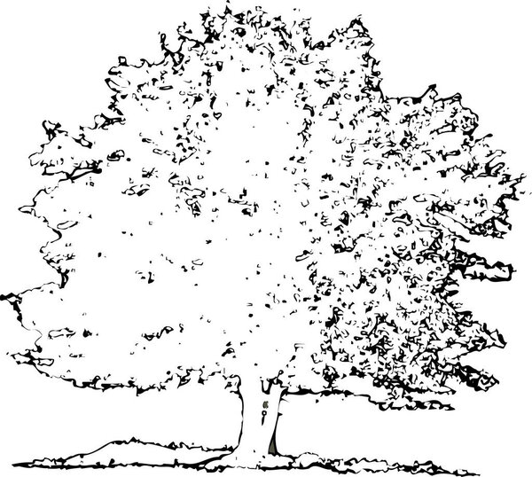 black and white illustration of tree
