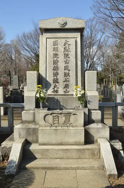 Mezarlıktaki Geleneksel Japon Mezar Taşlarının Yakın Plan Çekimi — Stok fotoğraf