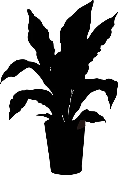 Silueta Floral Negra Aislada Sobre Fondo Blanco —  Fotos de Stock