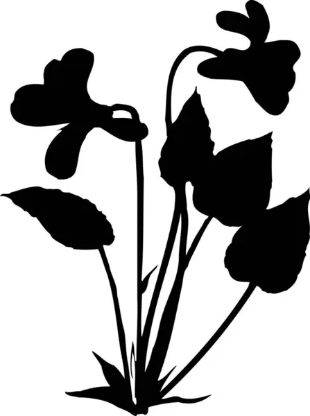 black flower silhouette, floral botanical illustration
