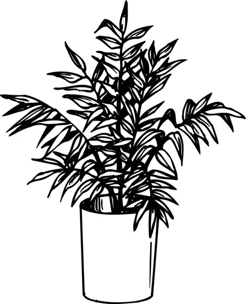 Houseplant Pott Håndtegnet Blomster Botanisk Illustrasjon Svart Hvit – stockfoto