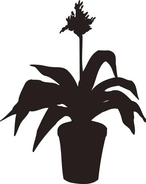 Zwarte Bloemen Silhouet Geïsoleerd Witte Achtergrond — Stockfoto