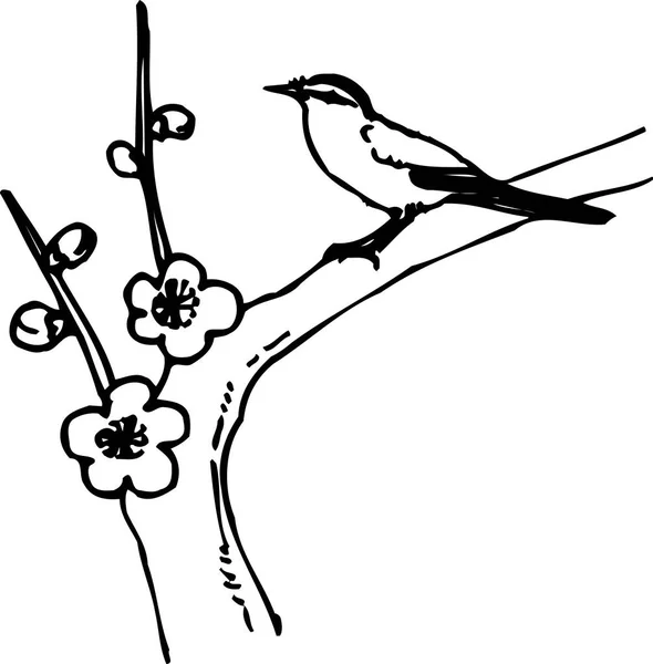 Daldaki Kiraz Çiçeğinin Kuşun Çizimi — Stok fotoğraf