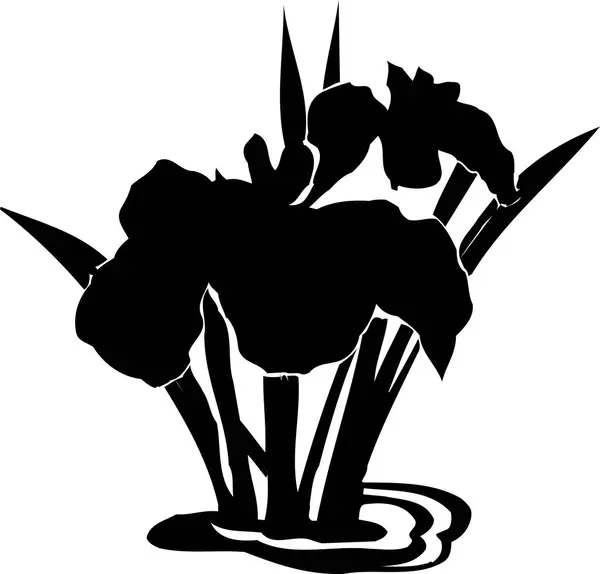 black silhouette of a lily flowers