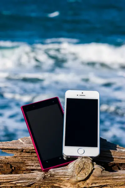Smartphones Blank Screens Tree Trunk Seashore Copy Space — Stock Photo, Image