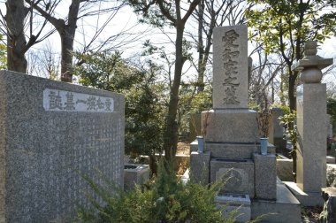 Mezarlıktaki geleneksel Japon mezar taşlarının yakın plan çekimi.