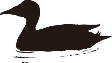 Beyaz arka plan üzerinde kaz siluet