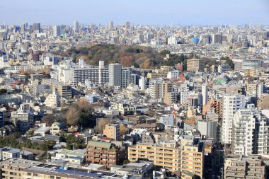 Tokyo şehir manzarasının havadan görünüşü, Japonya