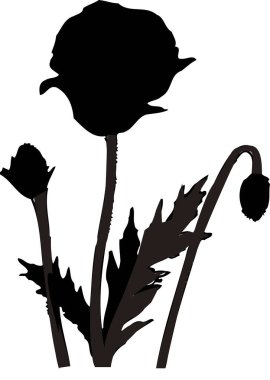 Beyaz arkaplanda izole edilmiş siyah çiçek silueti, çiçekli botanik illüstrasyon 