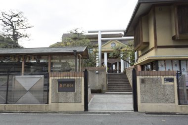 Gündüz evleri olan banliyö sokak manzarası 