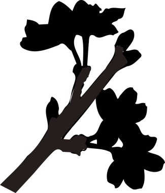 Yapraklı dal, siyah beyaz illüstrasyon