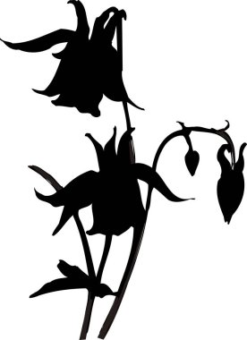 Beyaz arkaplanda izole edilmiş siyah çiçek silueti, çiçekli botanik illüstrasyon 