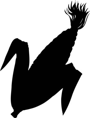 Yapraklı mısır, beyaz arkaplanda siyah siluet 