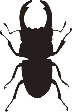 Beyaz arkaplanda izole edilmiş siyah böcek silueti