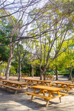 Güzel boş ahşap masalar parkta 