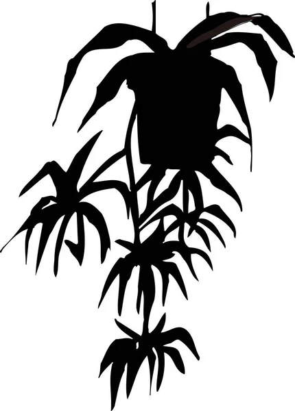 houseplant silhouette in pot,  floral botanical illustration