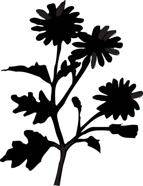 Silhueta Flor Preta Isolada Sobre Fundo Branco Ilustração Botânica Floral — Fotografia de Stock