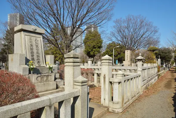 Detailní Záběr Tradičních Japonských Náhrobků Hřbitově — Stock fotografie