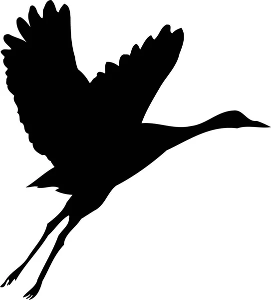 Sylwetka Ptaka Profilu Białym Tle — Zdjęcie stockowe