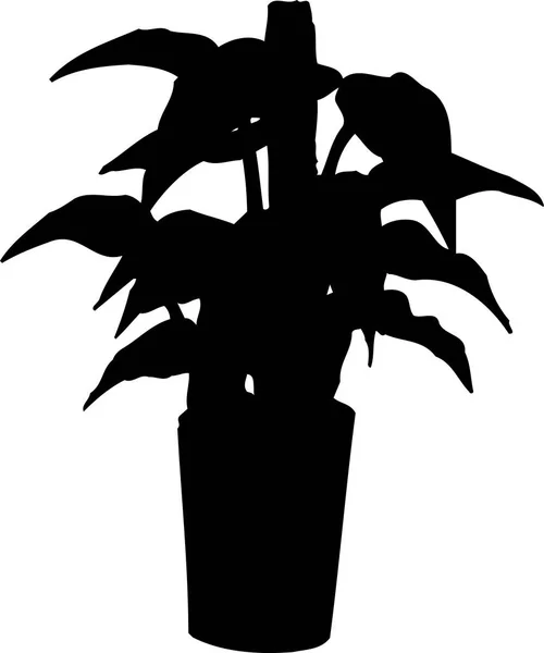 Svart Blomster Silhouette Isolert Hvit Bakgrunn – stockfoto