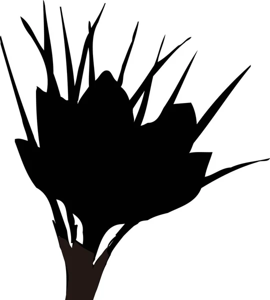 从白色背景分离出来的黑色花朵轮廓 植物学图解 — 图库照片