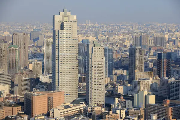 Tokyo şehrinin gökyüzü manzarası, Japonya