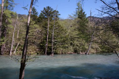 Japonya 'daki dağ nehrinin güzel manzarası