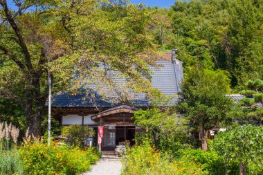 Yeşilliklerle çevrili geleneksel ev