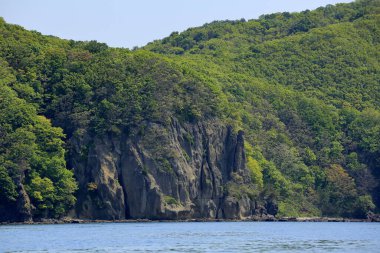 Yeşil dağlı deniz kıyısı 